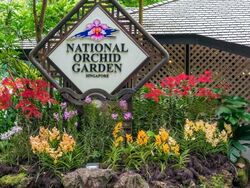 Tanglin Hill Villas (D10), Detached #455943641